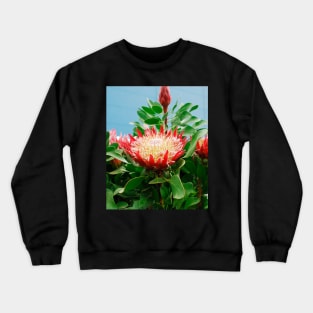 Protea Cynaroides Flower Crewneck Sweatshirt